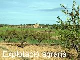 UMAC - explotacio agraria