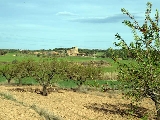 UMAC - explotacio agraria - finca La Torra